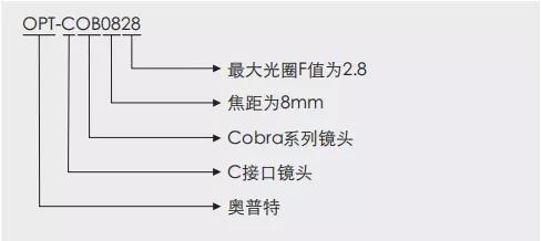 lewin乐玩·(中国区)有限公司官网